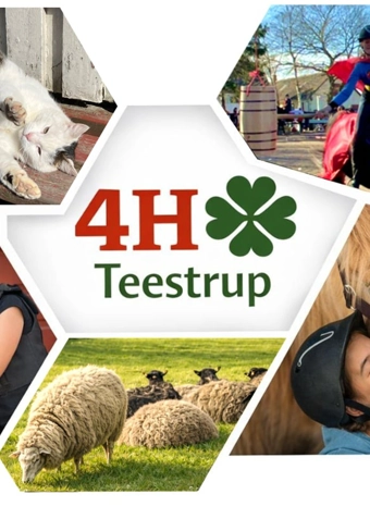 Sommercamp på 4H-Teestrup 8 - 15 år - Klik for at tilmelde dig