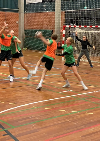 TEAM FAXE HÅNDBOLD (årgang 2010-2014) uge 32 - Klik for at tilmelde dig